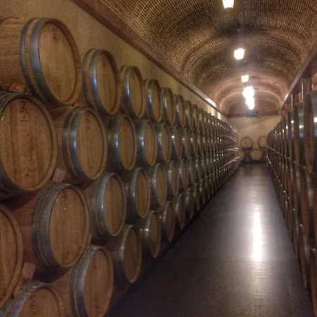 Ribera Del Duero Reserva Appartement *