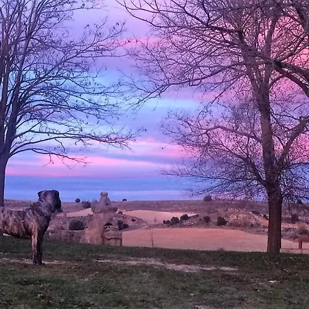 Ribera Del Duero Reserva