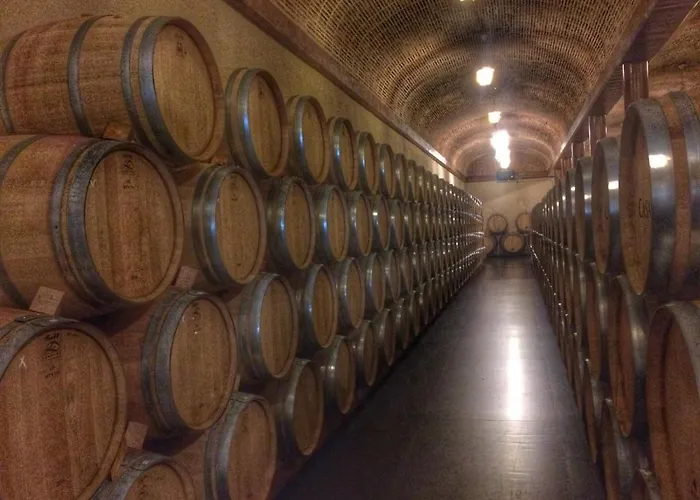 Ribera Del Duero Reserva Appartement *