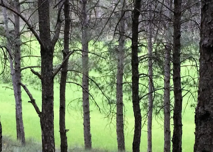 Ribera Del Duero Reserva Apartment *