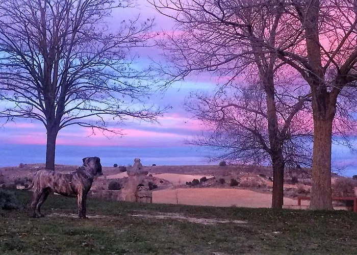 Ribera Del Duero Reserva